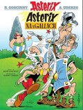 Image shows a sample cover of an Asterix album in Irish.